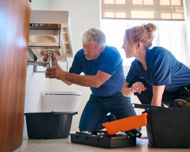 Best Affordable Plumbing Services  in Ravenswood, WV